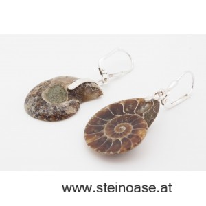 Ohrhänger Ammoniten + Silber